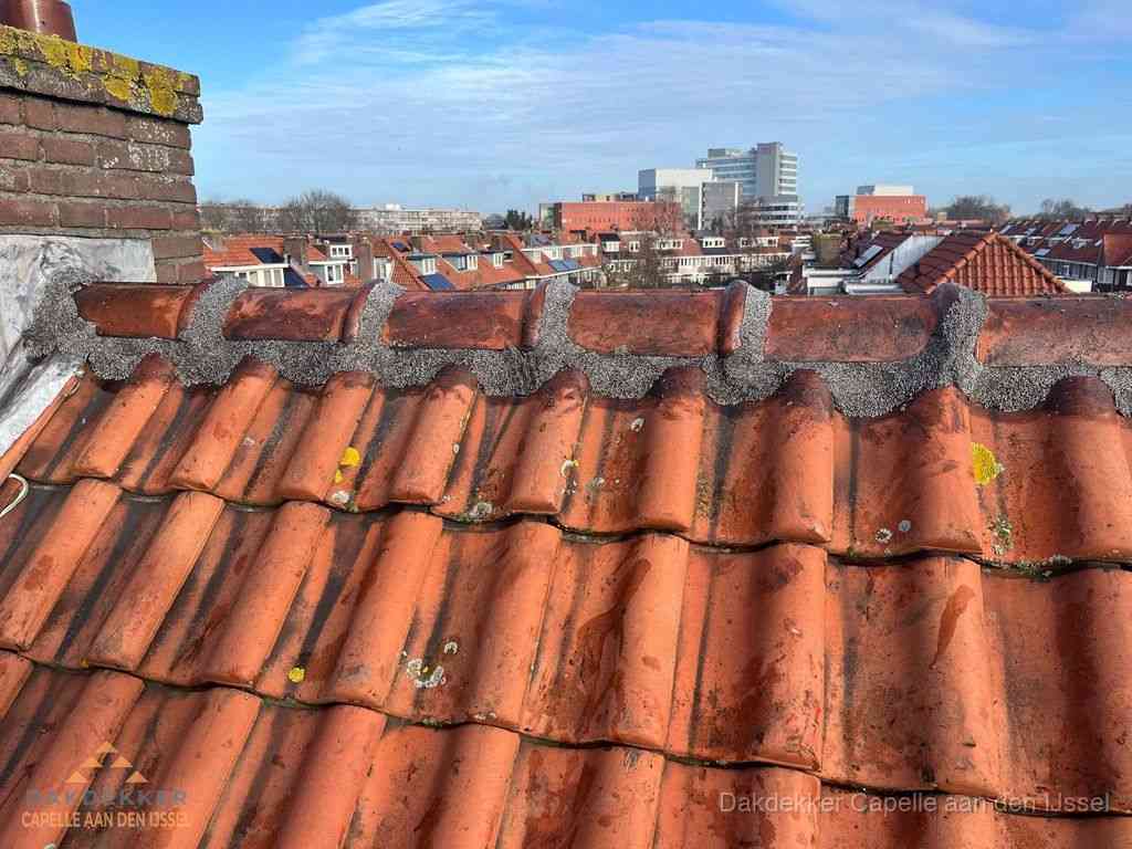 Capelleaandenijssel Daken Renoveren