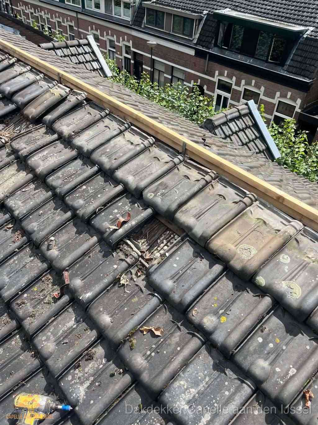 Dakonderhoud aan schuin pannendak met nokvernieuwing in Capelle aan den IJssel