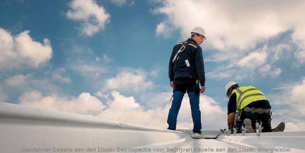Dakinspectie Voor Bedrijven Capelle Aan Den Ijssel