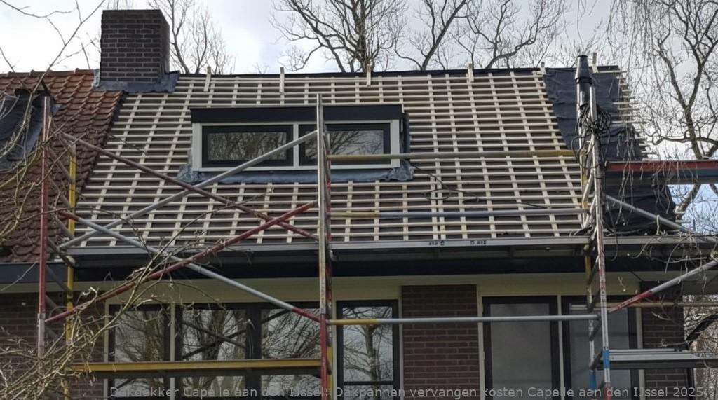 Dakpannen Vervangen Kosten Capelle Aan Den Ijssel