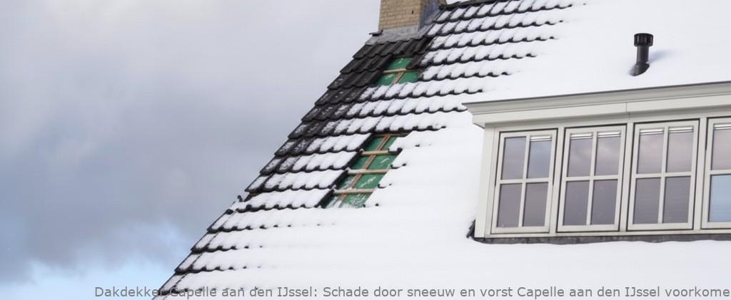 Schade door sneeuw en vorst Capelle aan den IJssel voorkomen